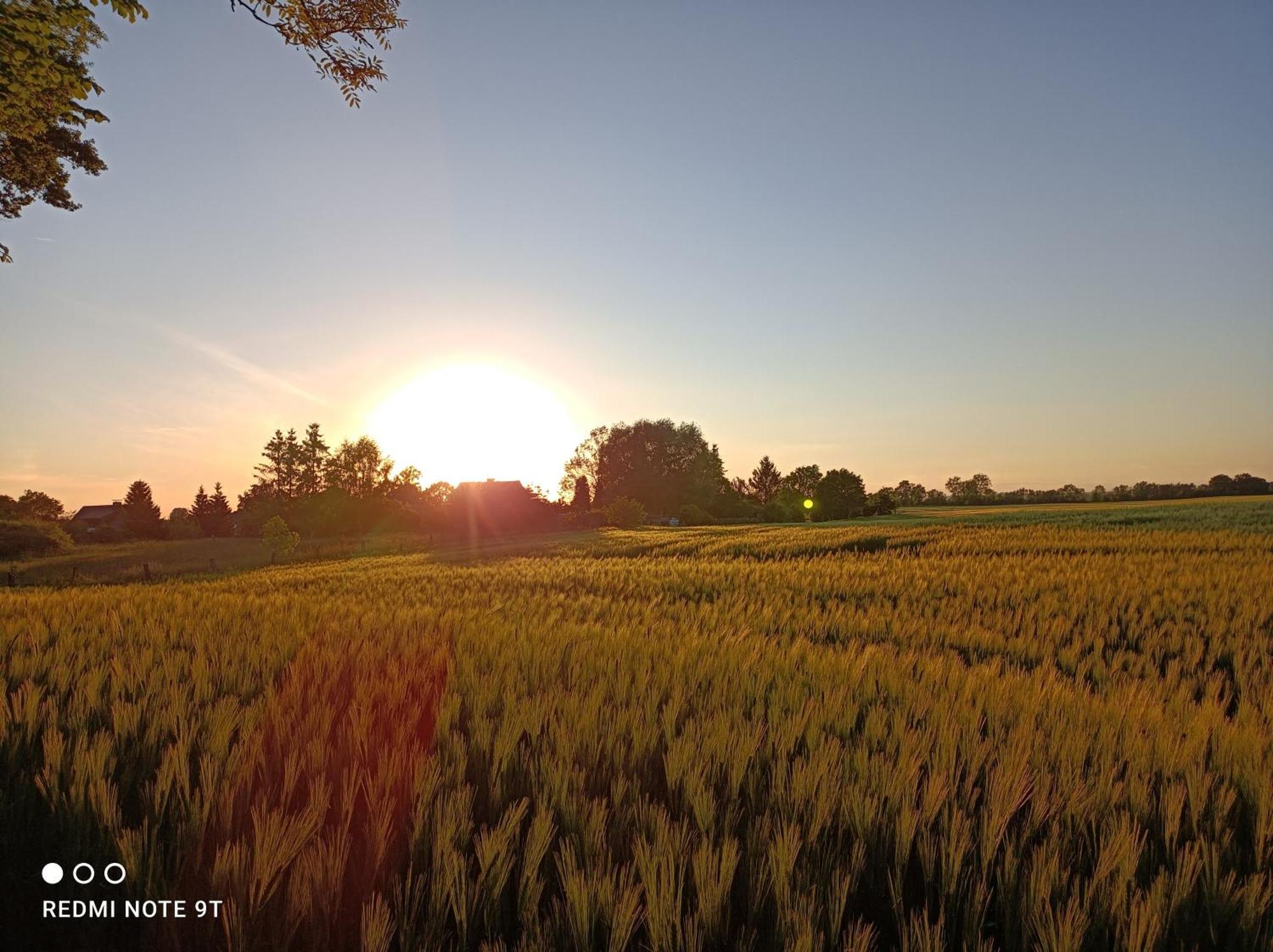 Herrenhaus Harmshagen Testorf-Steinfort ภายนอก รูปภาพ